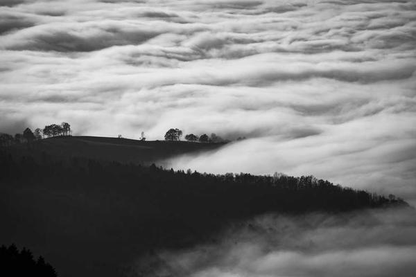 Climate Policy and Regional Labor Markets